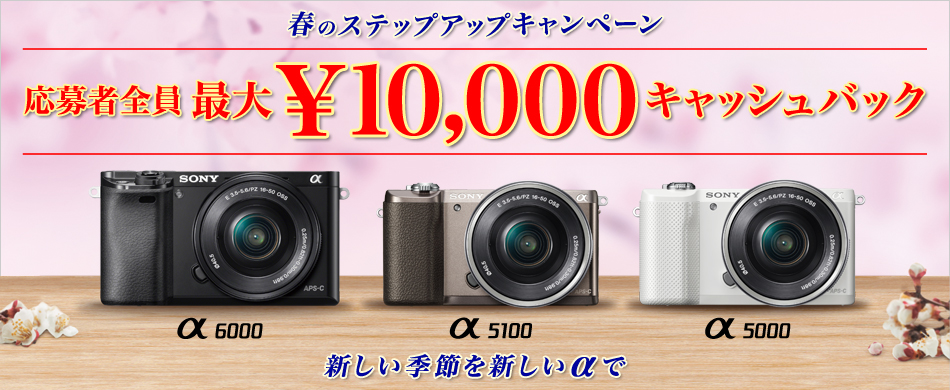 この春始めるなら、SONYのα(アルファ)♪