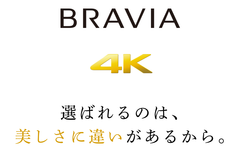 わっぜぇでか!75インチSONYブラビア展示開始中!その1設置編!